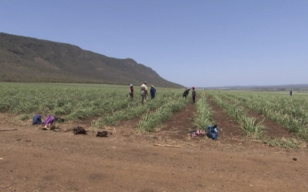 Over 60,000 land claims in South Africa await settlement